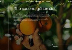 Kormoan Pvt Ltd Project - Digital experience for global fresh produce.