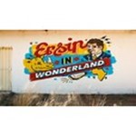 ERSIN graphics Logo
