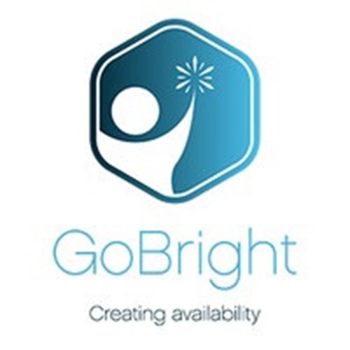 GoBright BV Logo