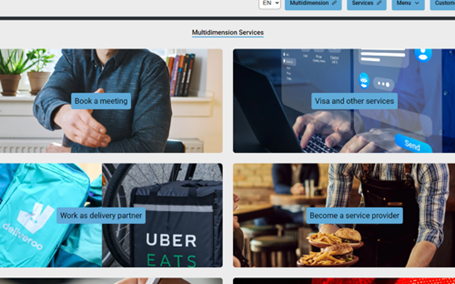 Entity Systems Project - Multidimension Services