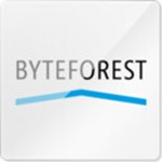 BYTEFOREST Logo