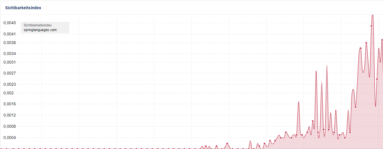 Netzbekannt GmbH Project - SEO für Spring Languages