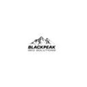BLACKPEAK | SEO SOLUTIONS Logo