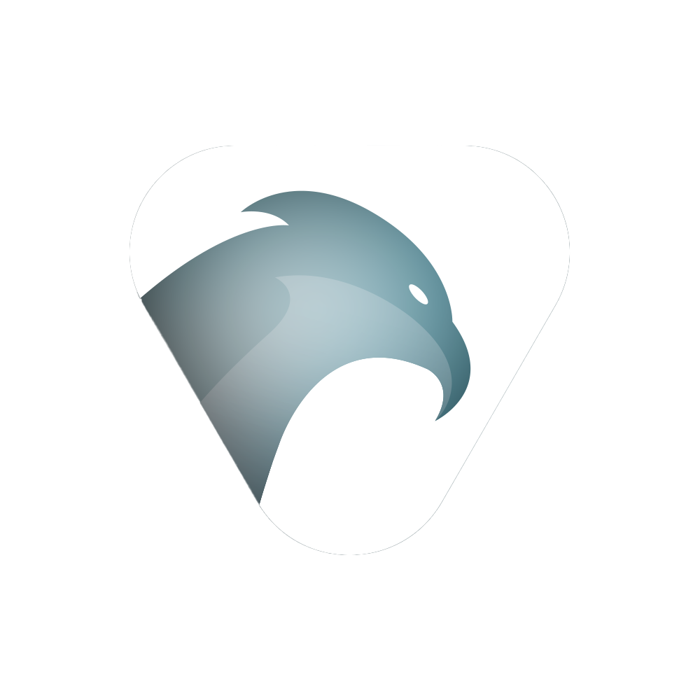 Buzzard-Webdesign