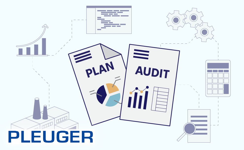 Chudovo OÜ Project - IT Audit for the Industrial Manufacturer