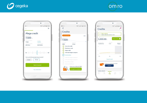 Cegeka Romania Project - The quick and flexible solution for small business