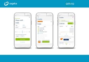 Cegeka Romania Project - The quick and flexible solution for small business
