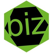 BIZ-Digital-Marketing Logo