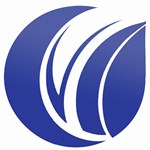 BSC Webdesign Logo