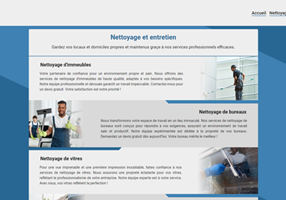 Entity Systems Project - Nettoyage Pro Express