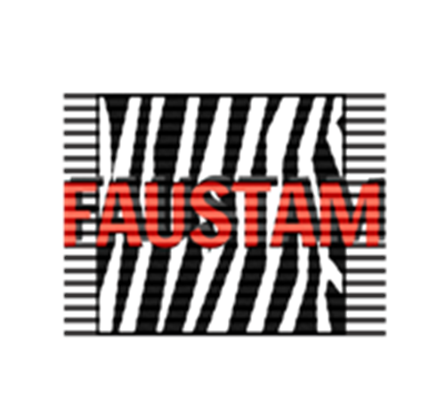 FAUST4M Logo
