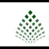 AI & Partners Logo