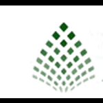 AI & Partners Logo
