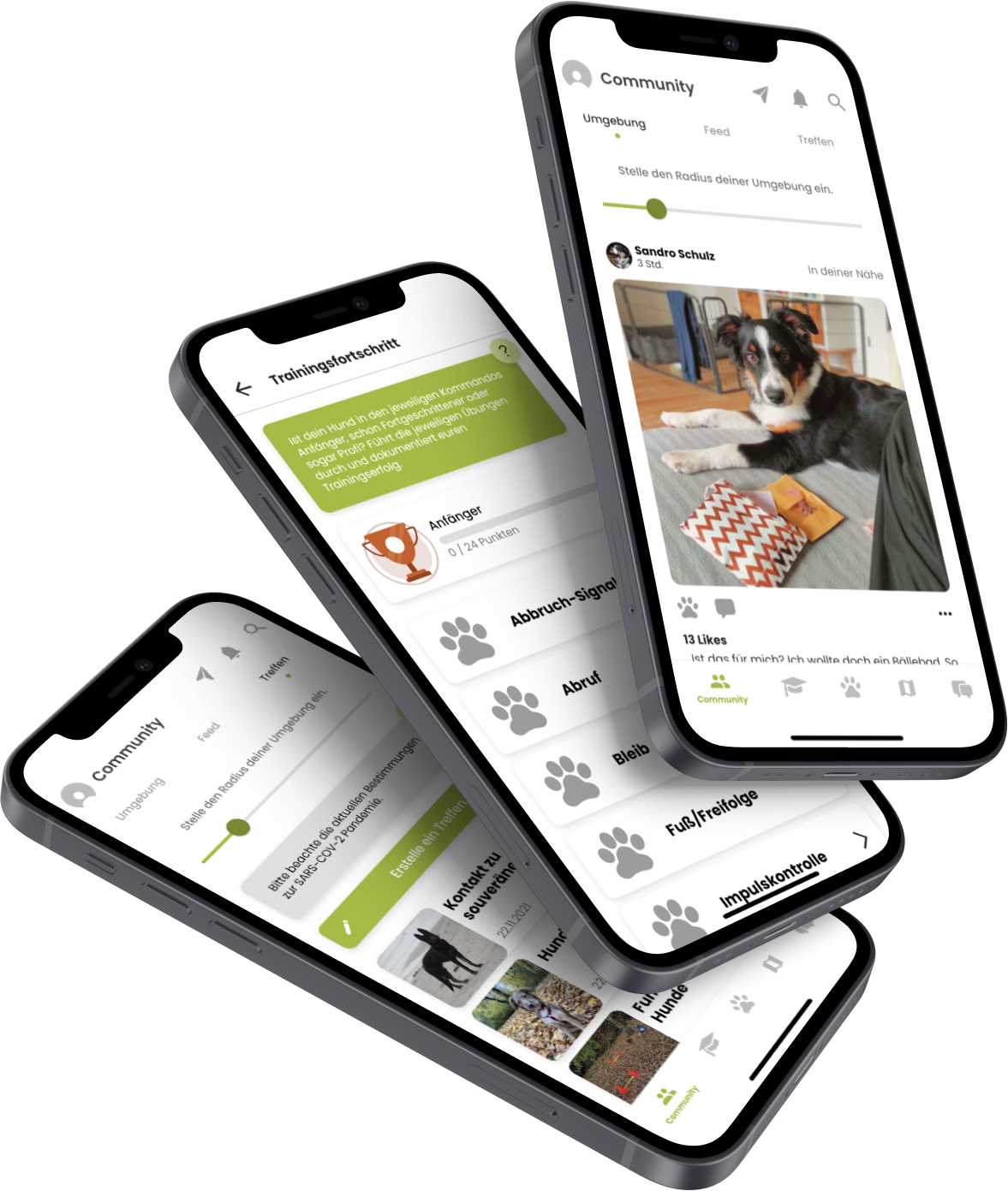 NEON Software Solutions GmbH Project - Doguniversity