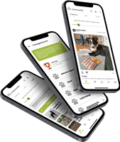 NEON Software Solutions GmbH Project - Doguniversity