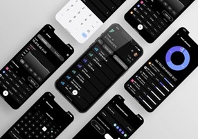 glueglue Project - Fintech mobile application development - FinHub