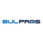 BulPros Consulting AG