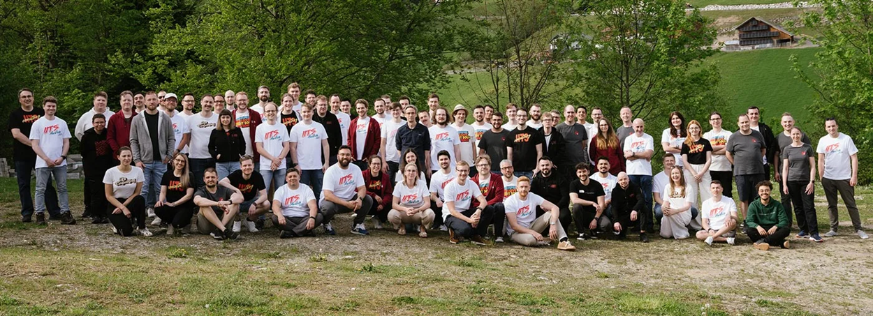 ImpressSol GmbH (iits-consulting)'s Team