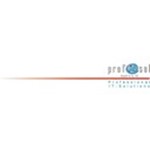 profitsol GmbH & Co. KG Logo