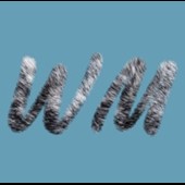 Wild Marketing Logo