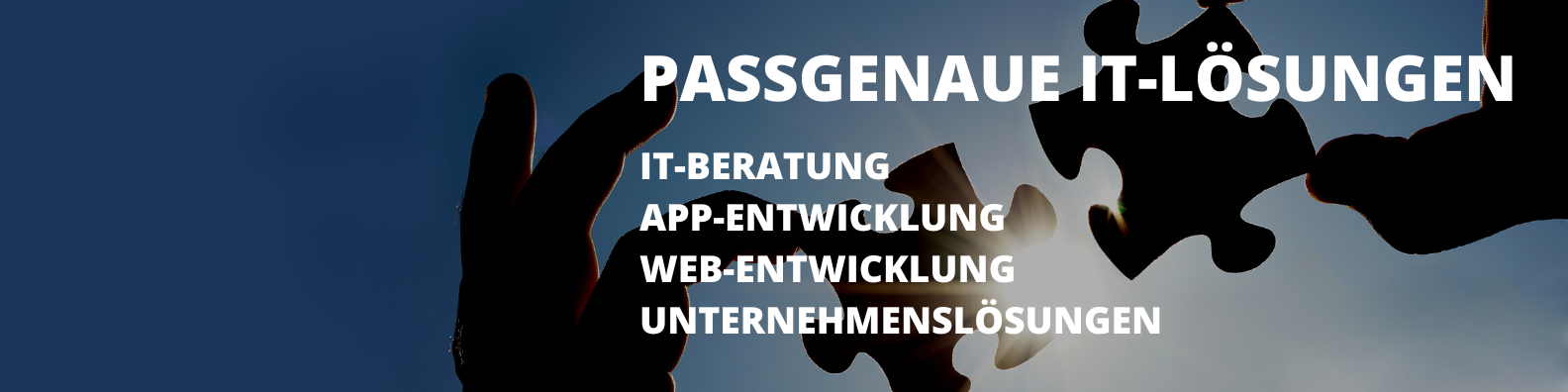 CN-Consult IT Beratungs- und Dienstleistungs GmbH Headerbild